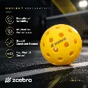 Zcebra Onsight Series